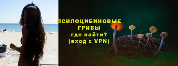 меф Арсеньев