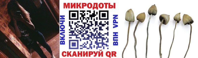 Псилоцибиновые грибы мицелий Мирный